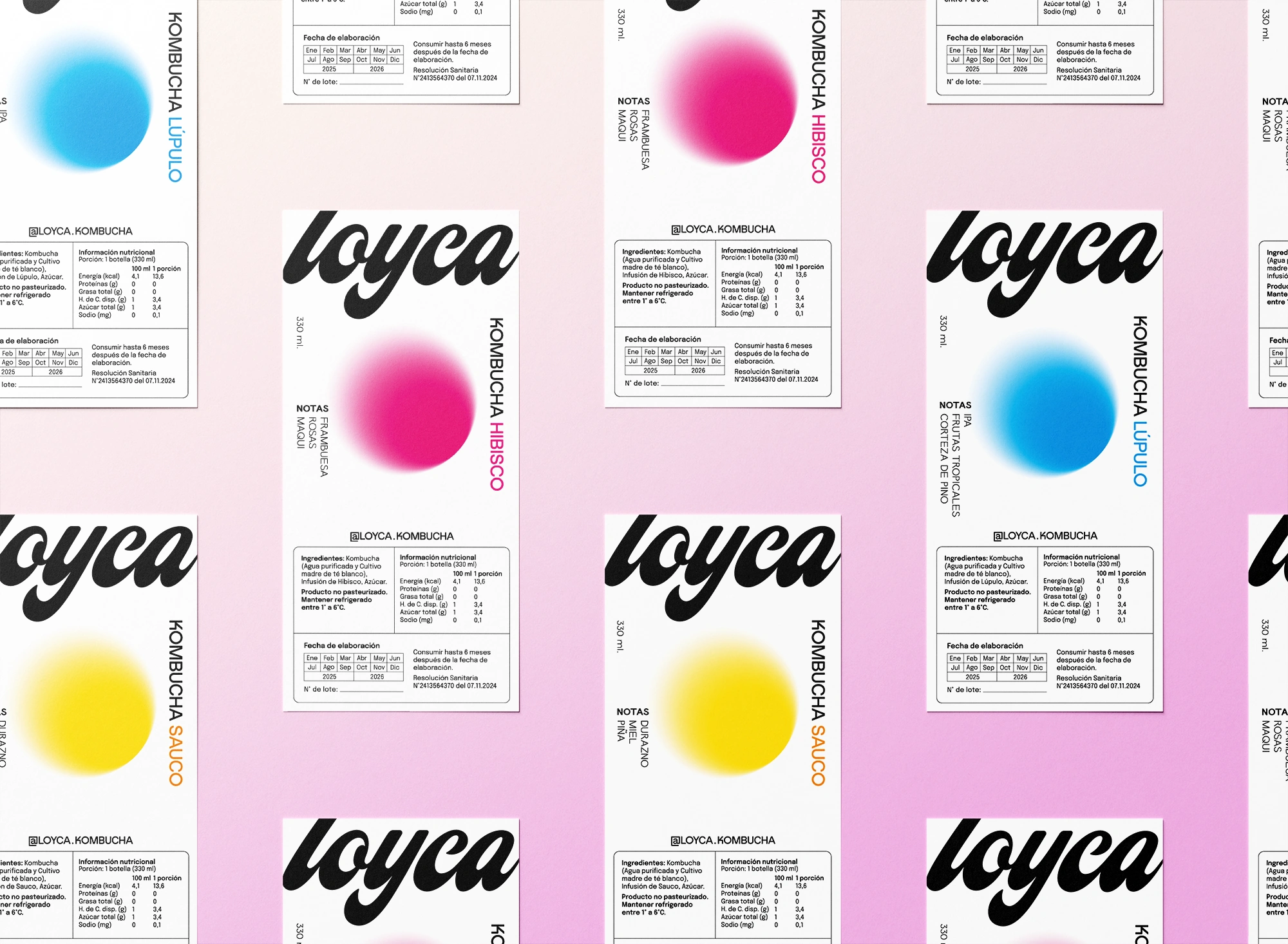 Kombucha Loyca